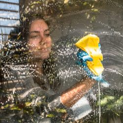 young-female-cleaning-a-window-with-a-wiper-and-ch-2025-02-12-00-04-06-utc